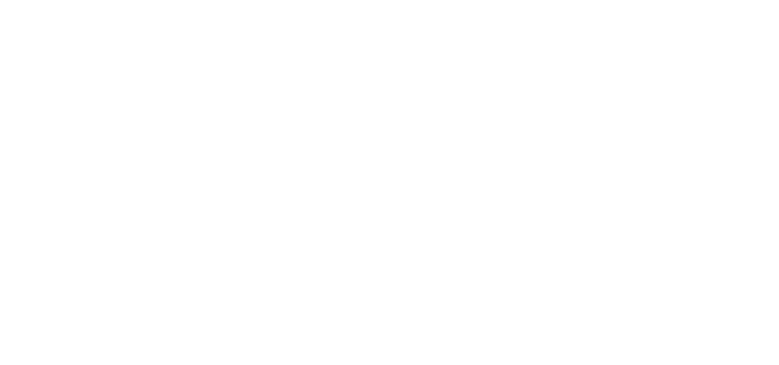 Elite Transport logo